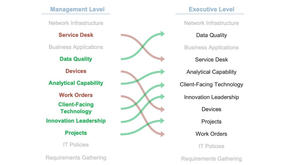 Needs of Management Level vs. Executive Level IT Organization